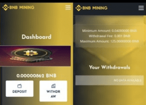 Bnb-mining.com scam review