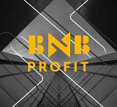 Bnbprofit.io scam review