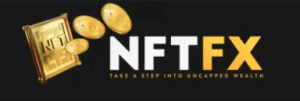 Nft-Fx.co scam review